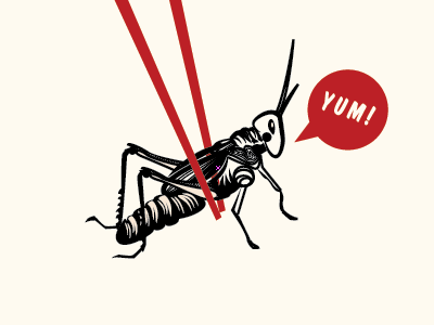 Year of the Cricket cricket drawing editorial food illustration insect linework magazine vector wildlife