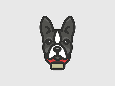 Boston Terrier boston terrier dog icon illustration