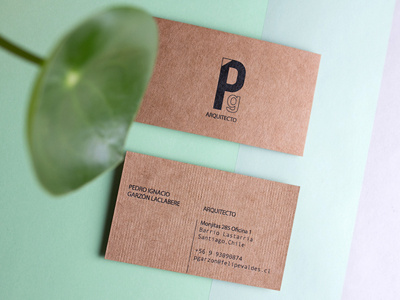 Identity design for Pedro Garzón brand cards gueso identity