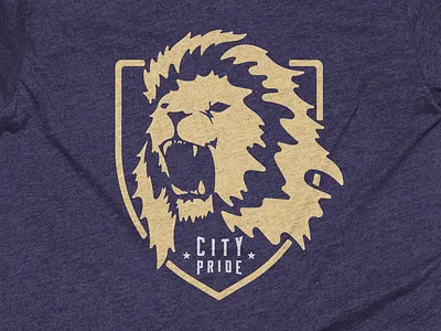City Pride badge cottonbureau hand icon illustration lion logo orlando shield shirt soccer sports