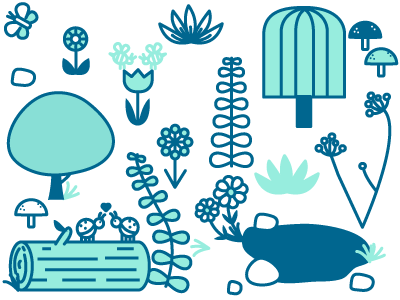 Forrest flowers flowers trees