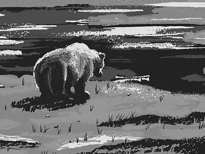 Bear bear digital grizzly illustrator nature outdoor painting