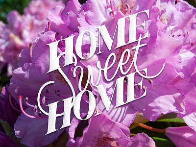 Home Sweet Home handlettering handtype home lettering type