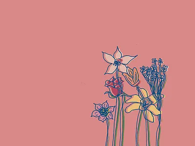 Flower Illustration flower flowers illustration