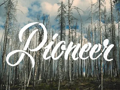 Pie Oh Near experiment lettering texture typography unused