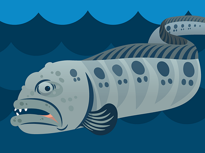 Seattle Aquarium Wolf Eel animal cartoon fish illustration marine museum ngo non profit simple underwater vector zoo