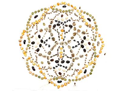 Seeds mandala seeds