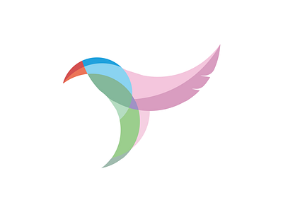 Fly bird colors creative design flat fly illustrator tablet wacom