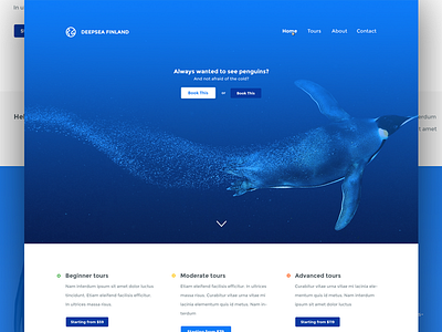 'Deepsea Finland' landing page blue deepsea findland penguins