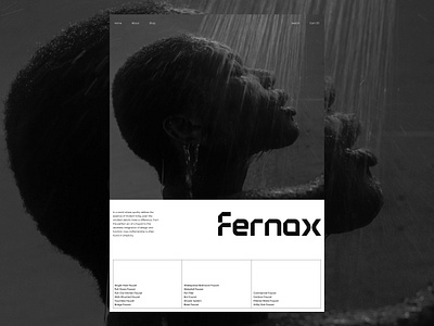 Fernax Branding branding graphic design logo ui