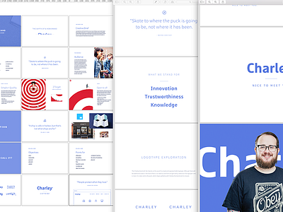 Charley Branding branding charley clean focus lab fresh identity insurance logotype simple