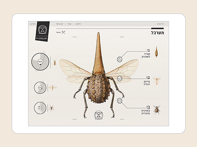 Insect Definer - IPad app app interactive ipad mobile ui ux