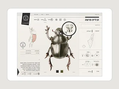 Insect Definer - IPad app app insect interactive ui ux