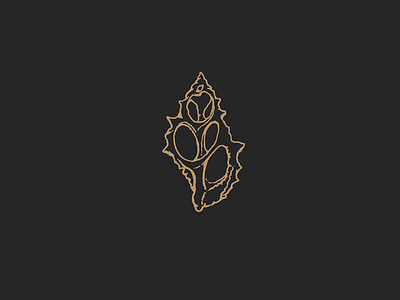 Sea Shell branding design icon identity logo