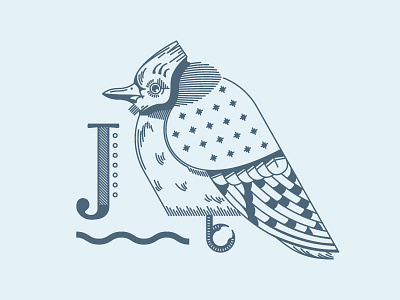 Blue J bird flat illustration lines typography vector wip