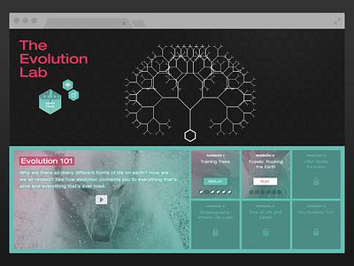 Evolution Lab ed tech game ui