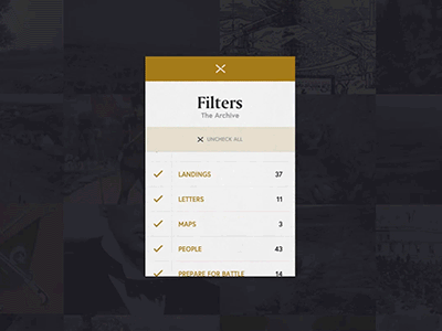 Filters Card animation filter filters gallery grid progress progress bar ui ux web webdesign