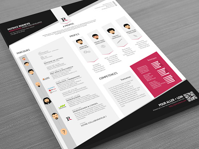 My resume 2015 cv resume