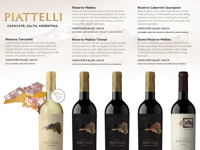 Wine Launch Brochure argentina brochure cactus desert malbec pos tan torrontes wine