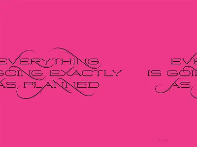 “Everything is going exactly as planned” Poster graphic design lettering pink pms poster swoosh typography