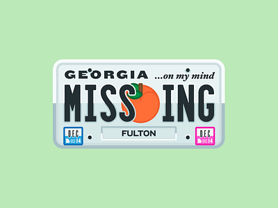 R.I.P License bad luck car driving flat georgia license plate stolen