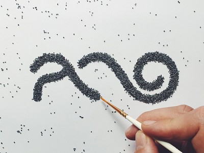 Poppy Seed food type hebrew type lettering poppy seed spices