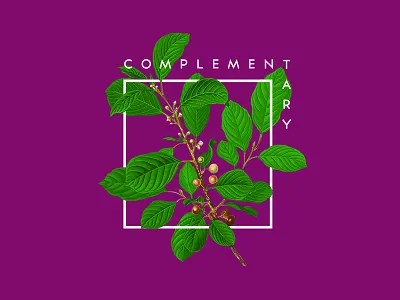 Complementary color complementary hungtr.huy trinhhuyhung vietnam