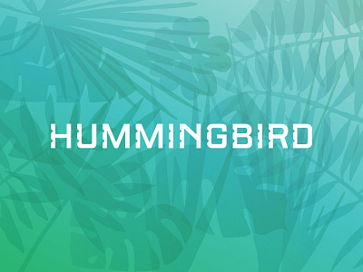 HB custom exotic gradient hummingbird letters logo logotype mark notch palm tropical type design