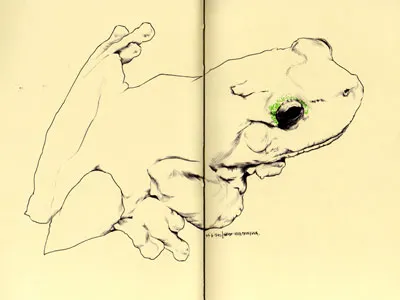 bestiary: green-eyed tree frog bestiary drawing eyed frog green tree