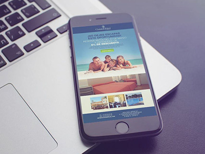 Palol design graphic newsletter