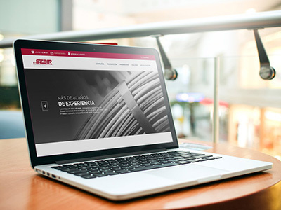 Sebir design development graphic web