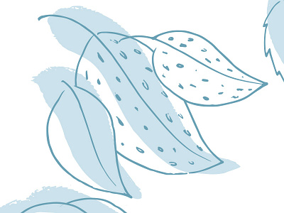 Leaves illustration leaves