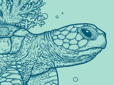 Sea turtle apparel illustration line work lines sea ts turtle
