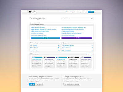 Catalyze Documentation Update buttons developer docs documentation layout light programming reference technical white