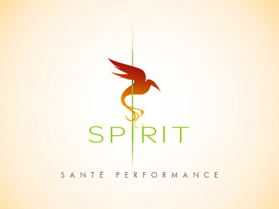 Logo care healing health healthcarebysport logo nolimit performance perseverance spirit