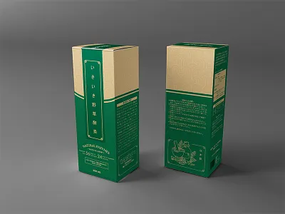 Natural Enzymes art design enzymes health herb japan line luxury natural packaging pattern vietnam