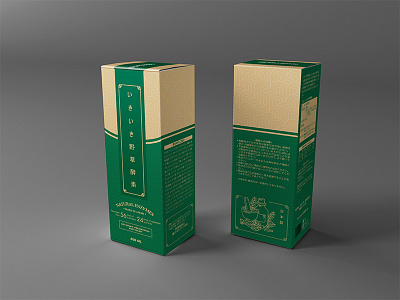 Natural Enzymes art design enzymes health herb japan line luxury natural packaging pattern vietnam
