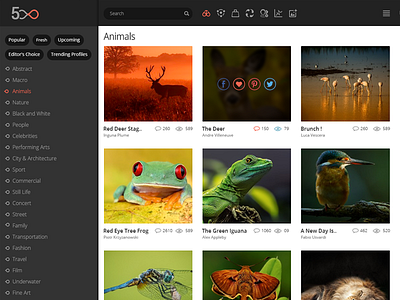 Real Pixel 500px animals icons photography portfolio templates theme thumbnails uiux website