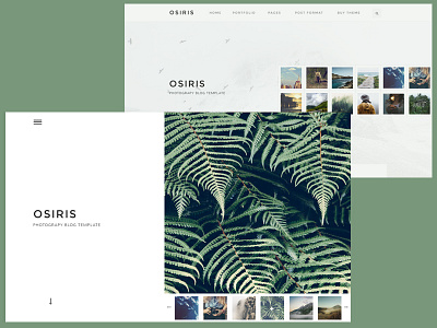 Osiris PSD template blog creative minimal blog psd simple webdesign