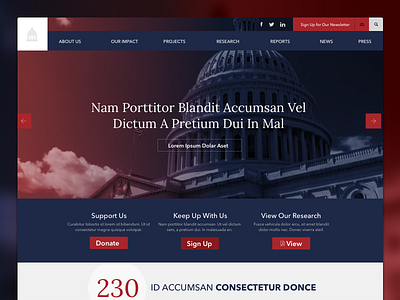 Homepage Concept flat homepage layout non profit political politics web design website