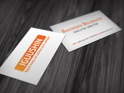 Identity System for Igushiin Pharma, Mongolia