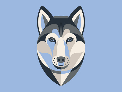 Mystery Project 70.2 blue dan kuhlken dkng dog geometric husky nathan goldman siberian husky winter