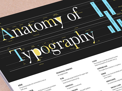 Anatomy of Typography Poster anatomy fonts poster printable printable poster typo typography typography glossary typogrpahy anatomy