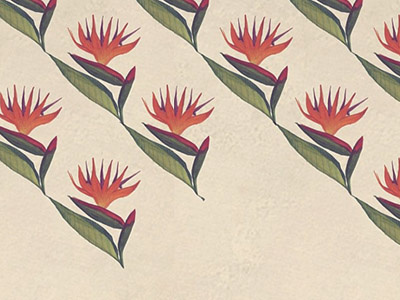 Pattern flowers hand drawn illustration nature patterns plants texture wallpaper watercolor