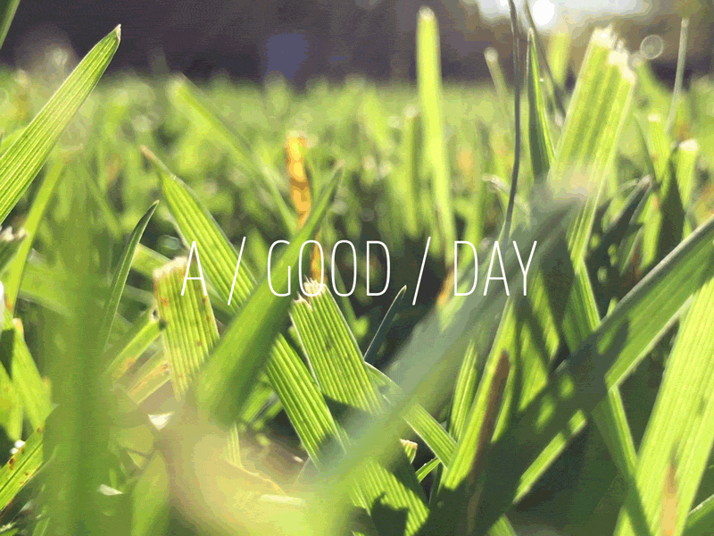 A Good Day