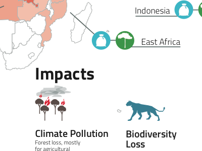 Commercial Agriculture and Deforestation map climate deforestation infographic map