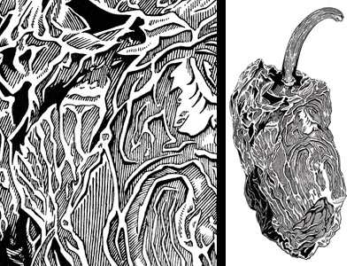 Chipotle cooking engraving etching illustration ink pepper
