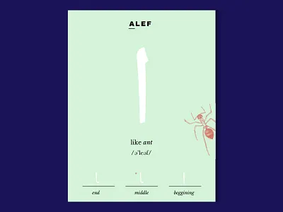 Arabic Letter Cards - Letter Alef arabic calligraphy card illustration language learning letter