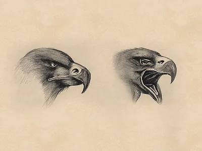 Eagle eagle