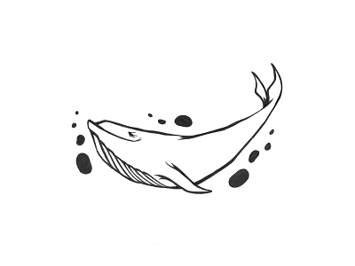 Whale illustration whale